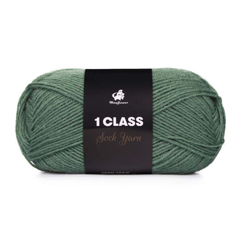 Mayflower 1 Class 50g